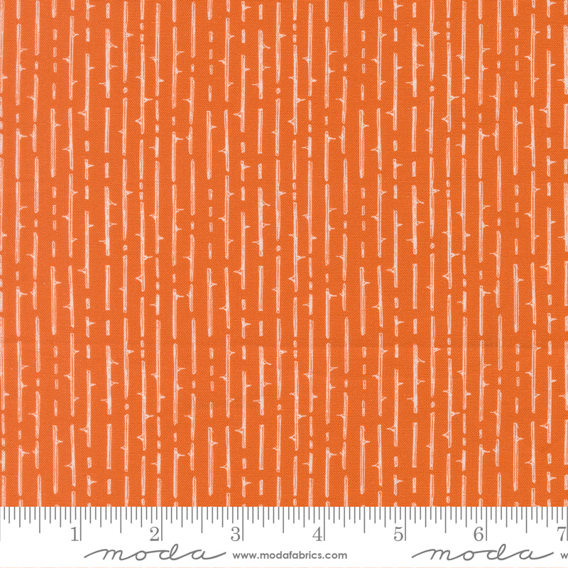 Coven Pumpkin Spice 48806 13