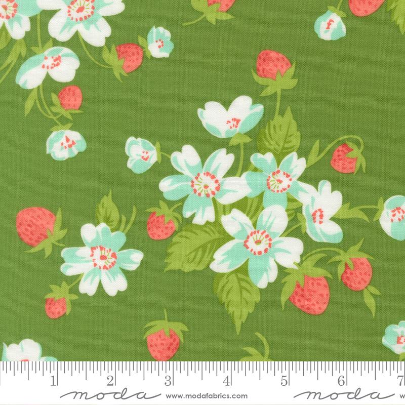 Bloomsberry Green 55350 15