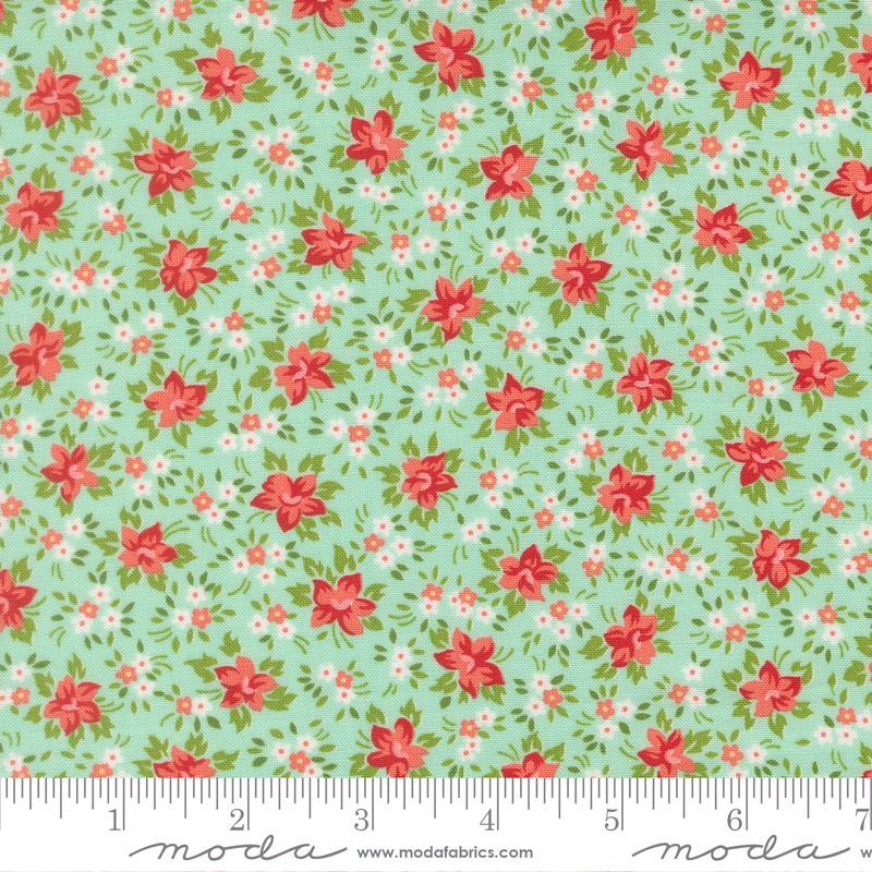 Bloomsberry Aqua 55353 13