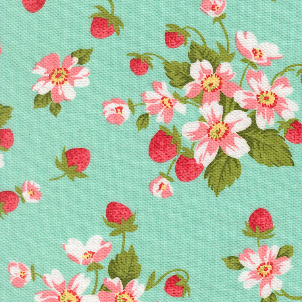 Bloomsberry