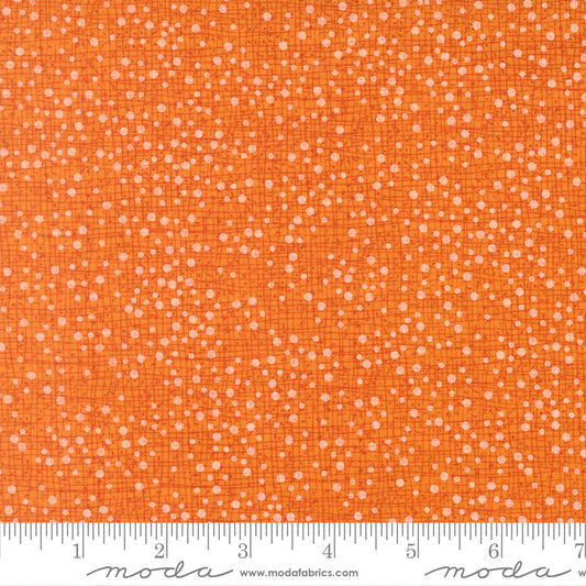 Coven Dotty Thatched     Citrus 48715 123