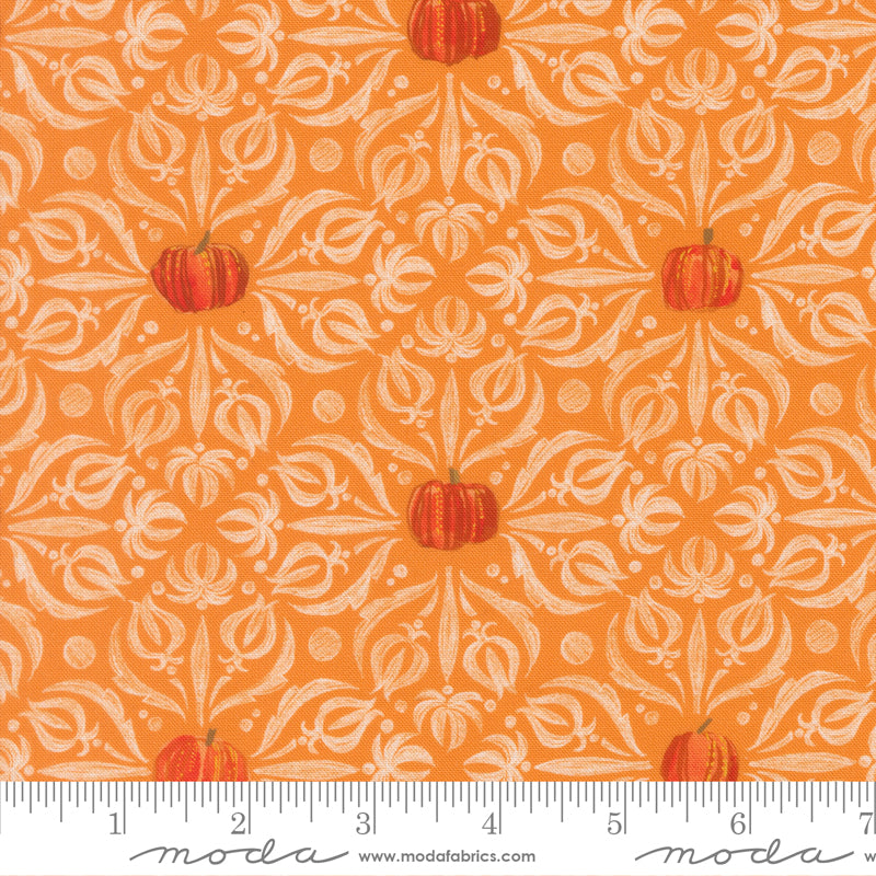 Coven                   Pumpkin 48802 12