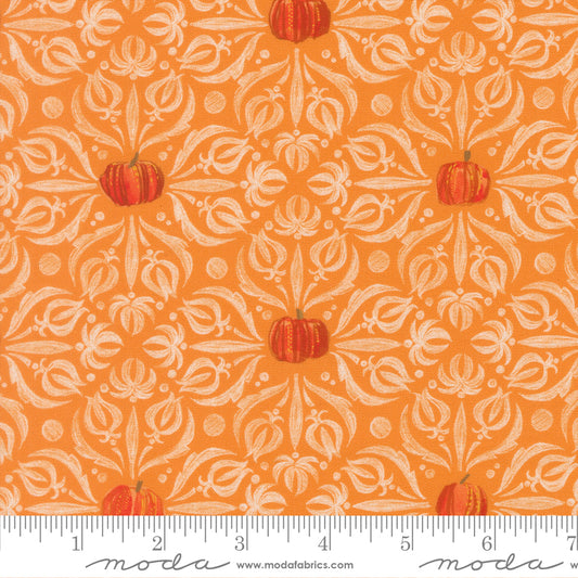 Coven                   Pumpkin 48802 12