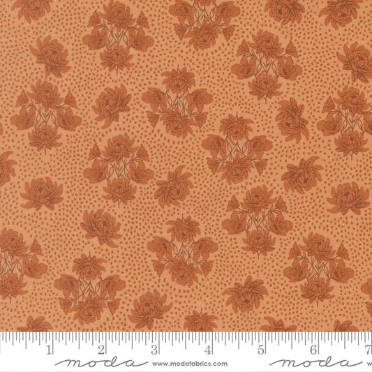 Wellspring       Coral Seashell 45672 14