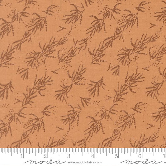 Wellspring       Coral Seashell 45674 14