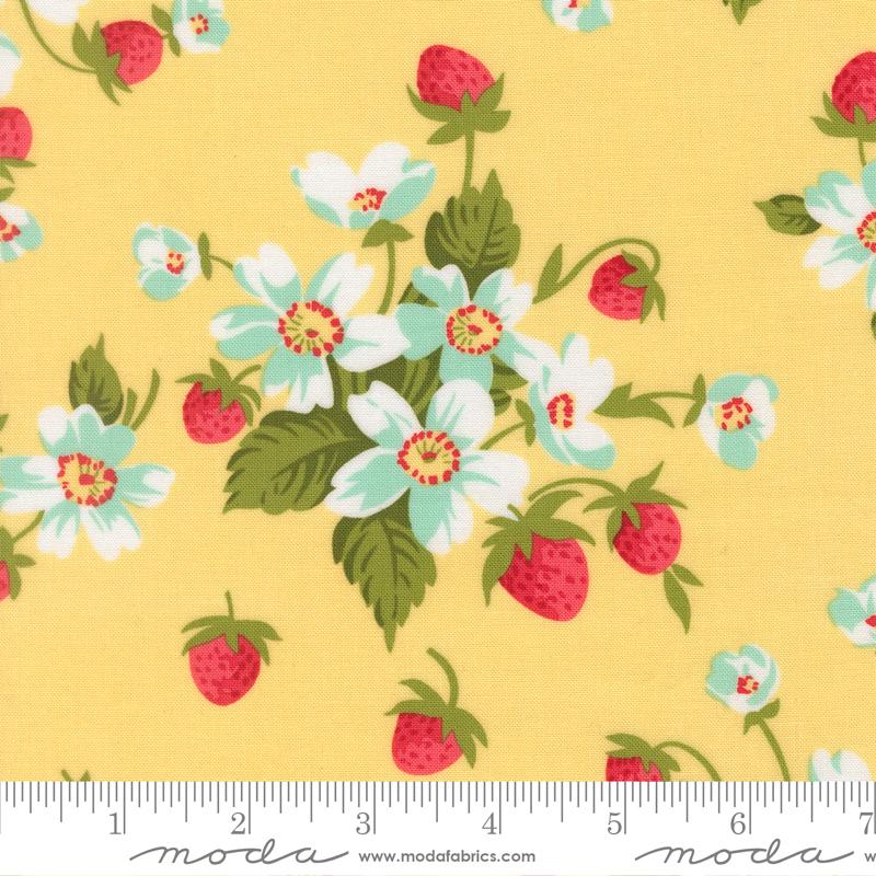 Bloomsberry Buttermilk 55350 12