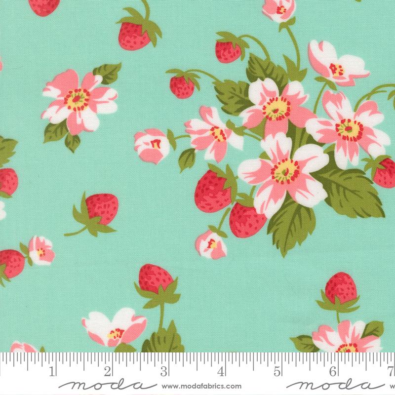 Bloomsberry  Aqua 55350 13