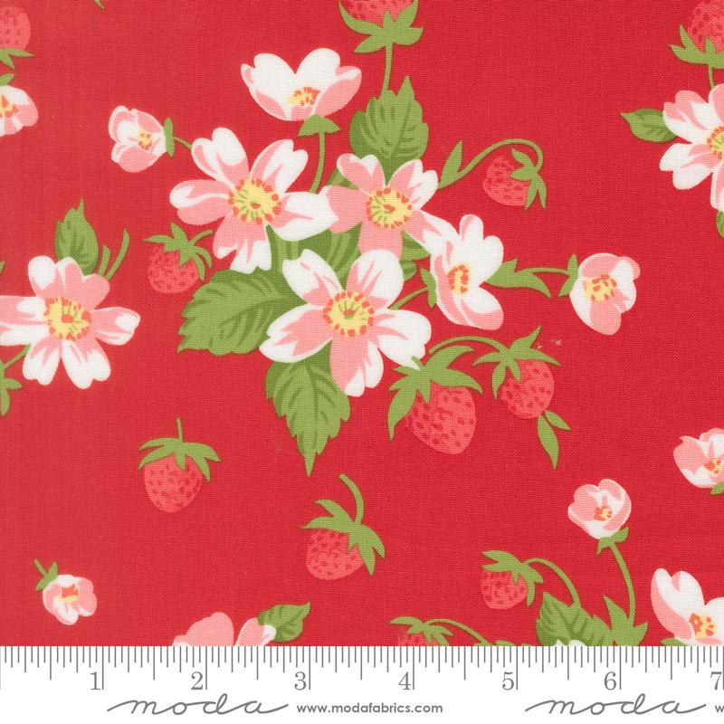 Bloomsberry Red 55350 18