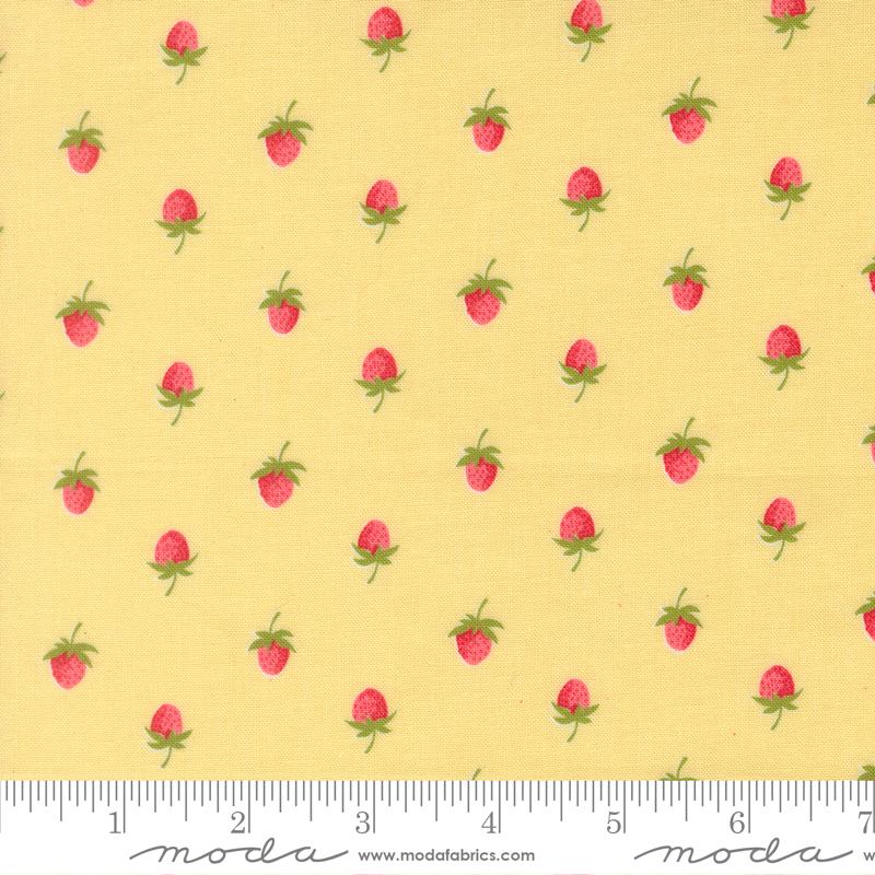 Bloomsberry Buttermilk 55352 12