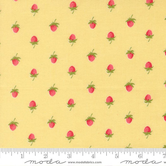 Bloomsberry Buttermilk 55352 12