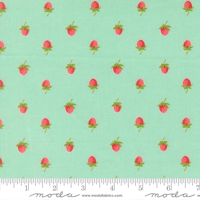 Bloomsberry Aqua 55352 13