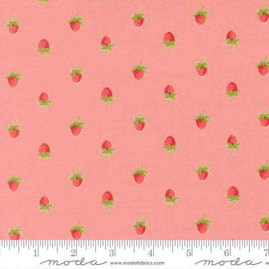 Bloomsberry Blush 55352 16