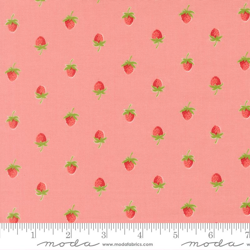 Bloomsberry Blush 55352 16