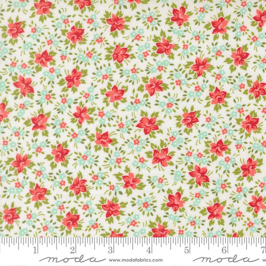 Bloomsberry White 55353 11