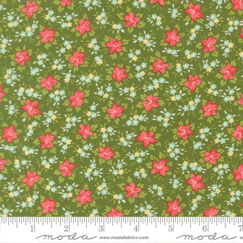 Bloomsberry Green 55353 15