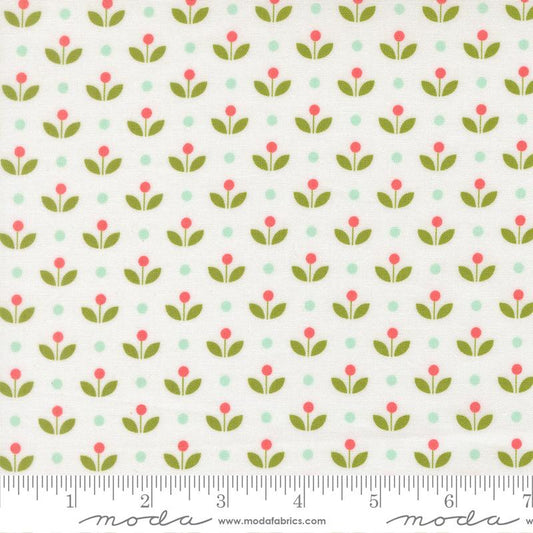 Bloomsberry White 55357 11