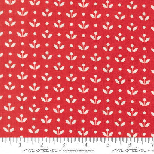 Bloomsberry  Red 55357 18