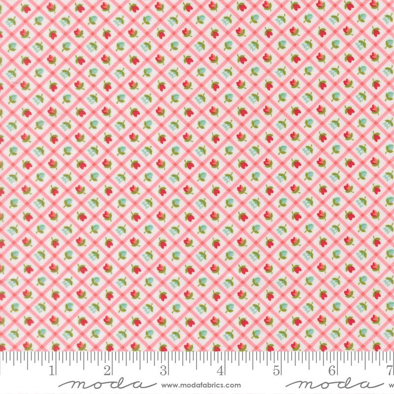 Bloomsberry Blush 55358 11