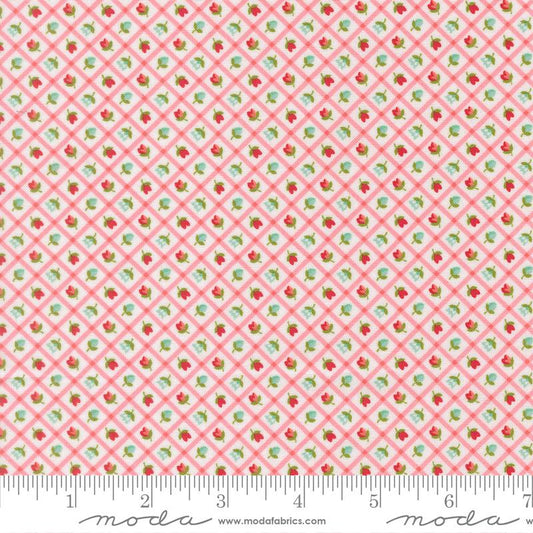 Bloomsberry Blush 55358 11