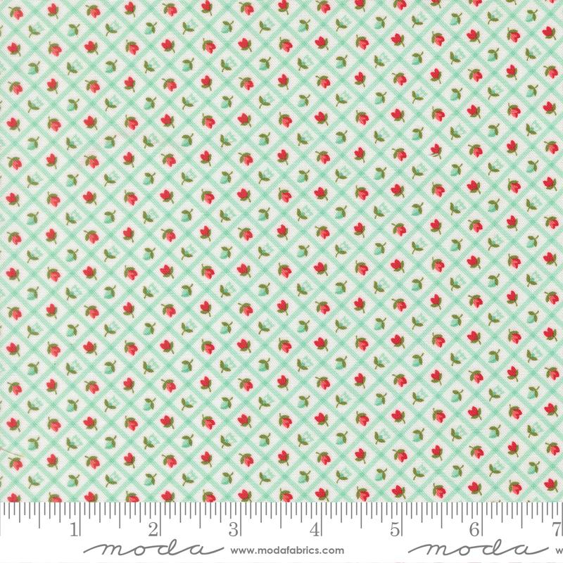 Bloomsberry Aqua 55358 23