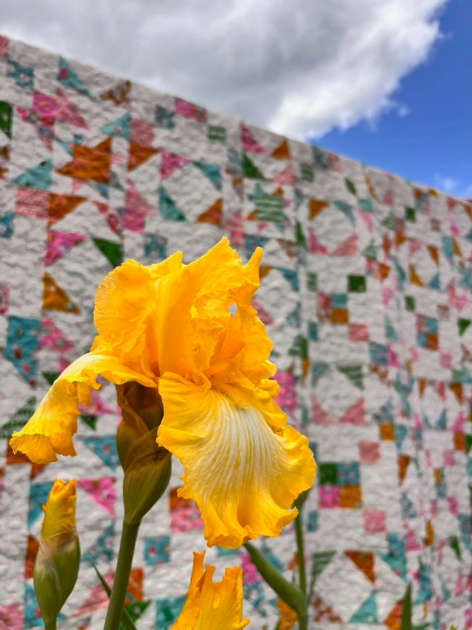 Shine So Bright quilt detail
